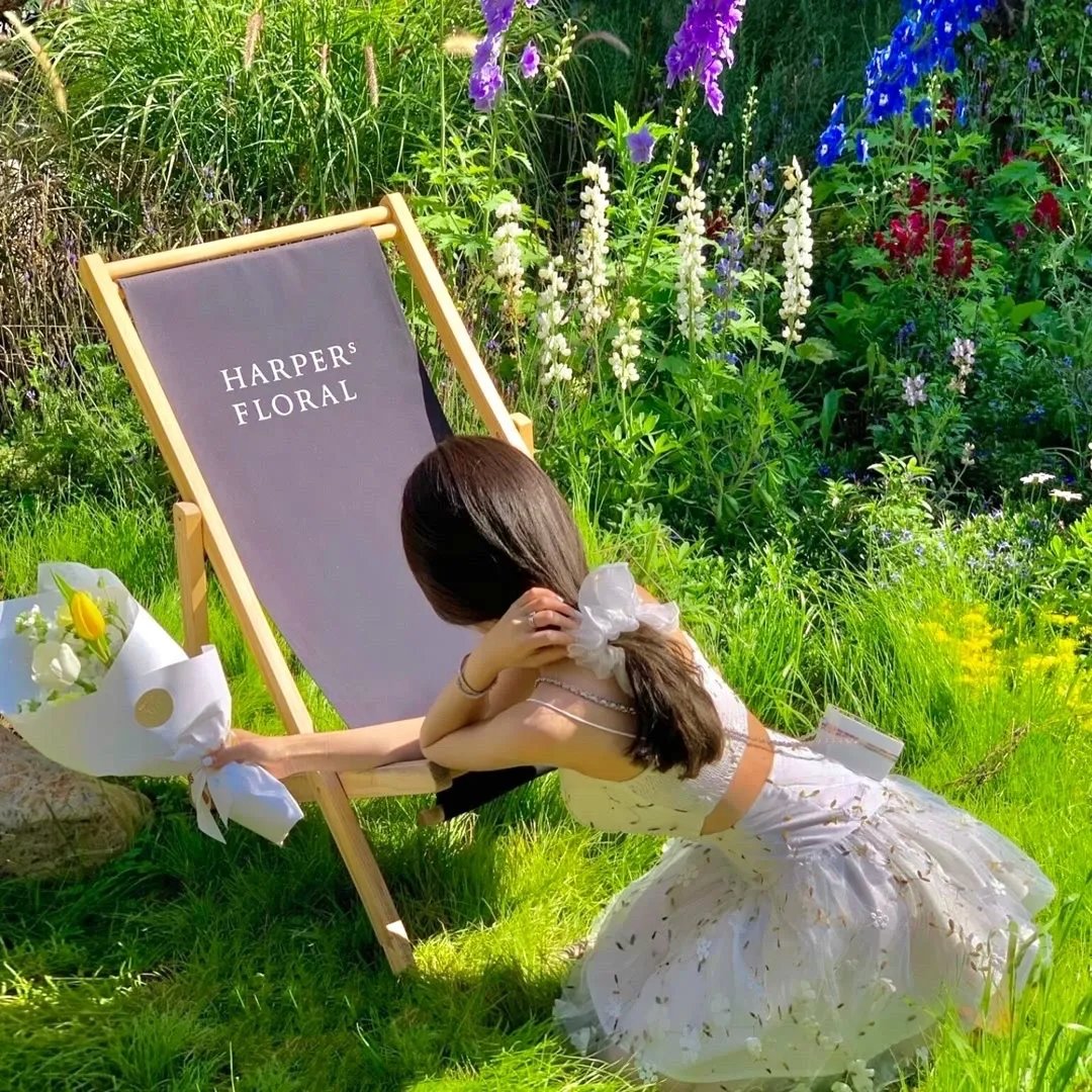 伤朕母后者杀无赦