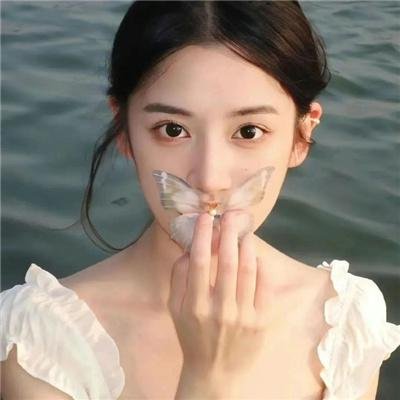 自行车与旧电钢